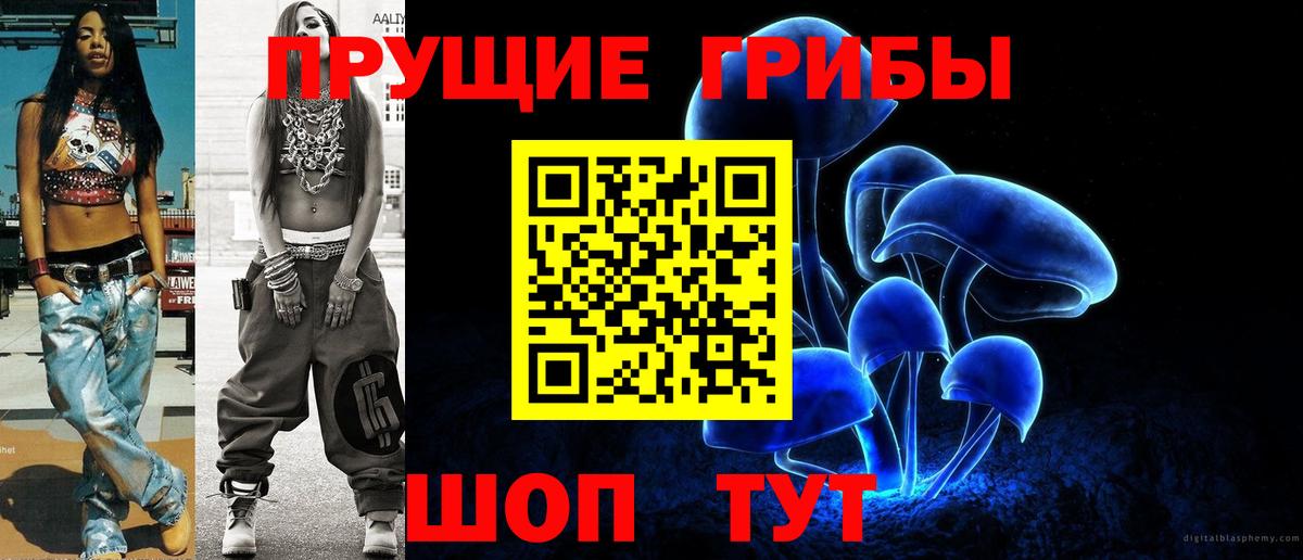 Усть-Джегута  продажа наркотиков  Вход с VPN  Псилоцибиновые грибы MAGIC MUSHROOMS 