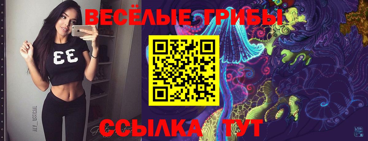 Экстази  Альфа ПВП СК   Усть-Джегута  МАРИХУАНА  Codein  МЕФ   Вход с VPN  LSD-25 